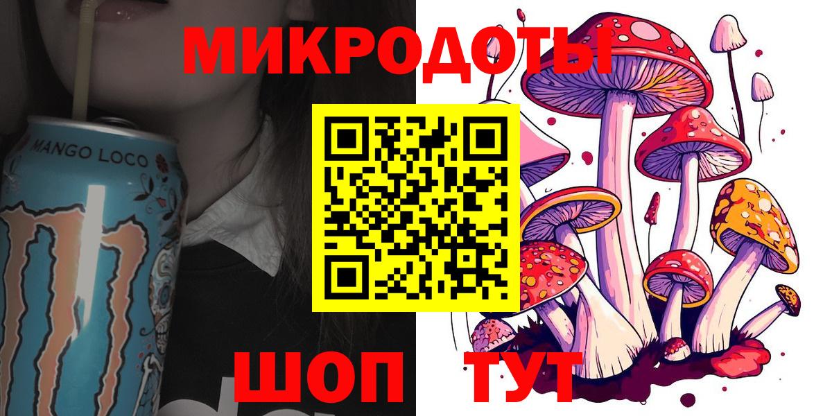 Псилоцибиновые грибы Cubensis Карачаевск