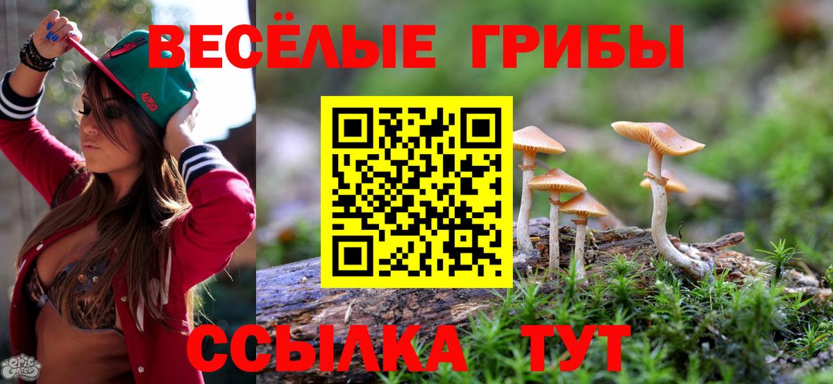 Галлюциногенные грибы Cubensis  Вход с VPN  Псилоцибиновые грибы мухоморы  Карачаевск 