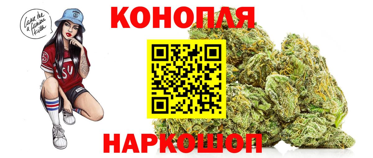 Марихуана план Карачаевск